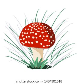 Beautiful Amanita muscaria mushroom isolated on white background. Flat cartoon style. Vector illustration. 