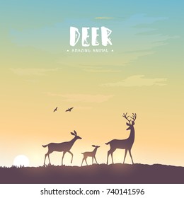 Beautiful and amazing silhouette of stylized deers during sunset. Stylish vector illustration. Silhouette Deer