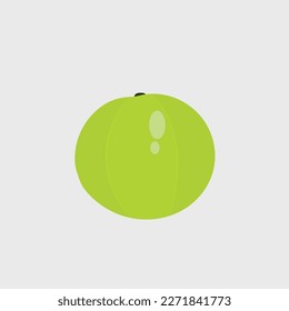 A beautiful amla vector artwork