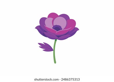 Beautiful Anemone purple flower vector art illustration