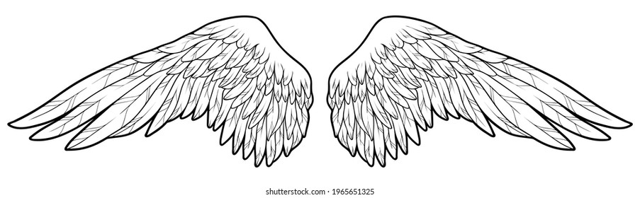 Beautiful angel wings, monochrome, vector