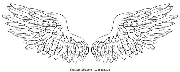 Beautiful angel wings, monochrome, vector