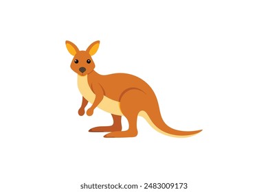 Beautiful animal kangaroo vector art illustration image