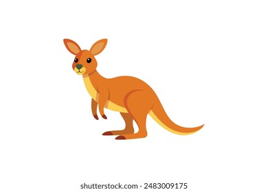 Beautiful animal kangaroo vector art illustration image