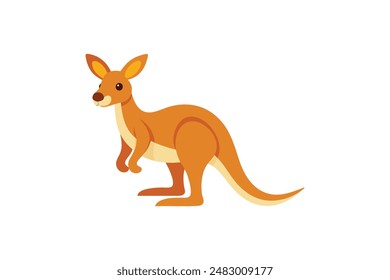 Beautiful animal kangaroo vector art illustration image