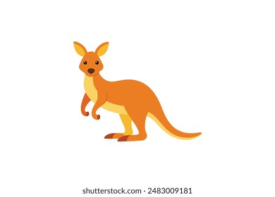 Beautiful animal kangaroo vector art illustration image