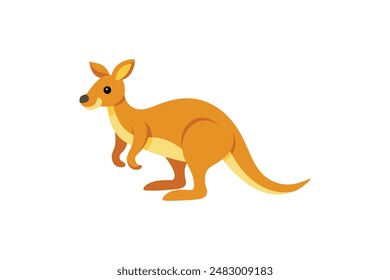 Beautiful animal kangaroo vector art illustration image