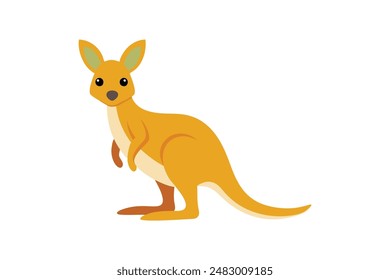 Beautiful animal kangaroo vector art illustration image