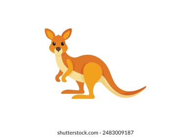 Beautiful animal kangaroo vector art illustration image