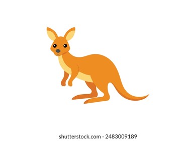 Beautiful animal kangaroo vector art illustration image