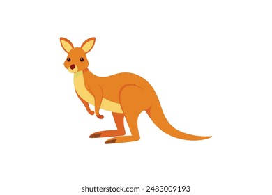 Beautiful animal kangaroo vector art illustration image