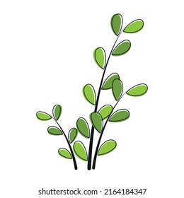 Beautiful animated flower icon clip art with leaf and outline cartoon vector symbol design image