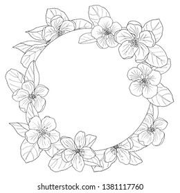 Beautiful Apple Blossom Frame Coloring Page Stock Vector (Royalty Free ...