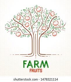 Beautiful apple fruit tree natural organic farm food vector logo or emblem, linear style drawing.