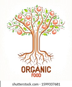 Beautiful apple fruit tree natural organic farm food vector logo or emblem, linear style drawing.