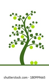 Beautiful apple tree isolated on white background 