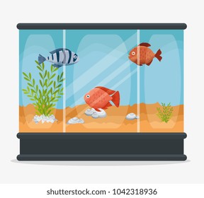 beautiful aquarium with fish