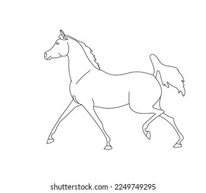 Beautiful Arabian horse is moving forward, vector outline for coloring book