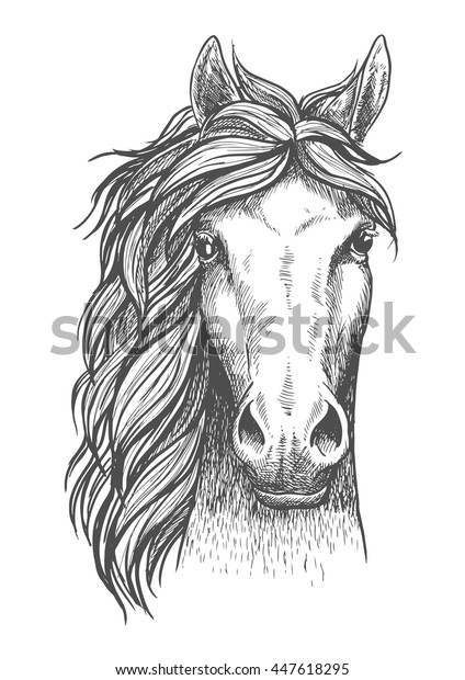 馬の飼育シンボル 馬術 乗馬クラブのエンブレムデザイン用の美しいアラビア柄のスケッチアイコン 耳の鋭い純血種の馬の頭の正面図 のベクター画像素材 ロイヤリティフリー
