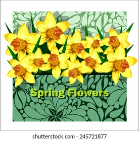 Beautiful arrangement of daffodils in an envelope with floral design. Spring flowers.