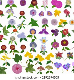 A beautiful arrangement of hand-drawn flowers