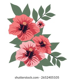Um belo arranjo de flores de hibisco e folhas isoladas em fundo branco, perfeito para elementos de design e padrões.