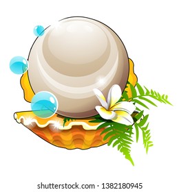 Beautiful arrangement of seashells, flower and a large pearl isolated on white background. Vector cartoon close-up illustration.