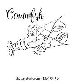 Beautiful Art Print Crawfish line vector illustration