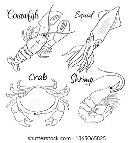 Beautiful Art Sea Seafish animal vector illustration