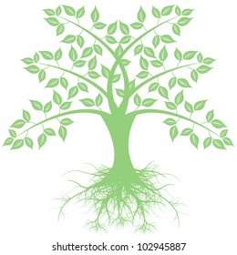 Beautiful art tree isolated on white background