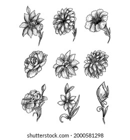 Beautiful artistic sketch floral set design