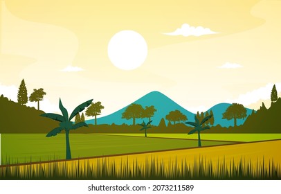 Beautiful Asian Paddy Rice Field Agriculture Nature View Illustration