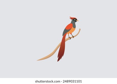 Beautiful Asian Sha Bulbul Bird perched on tree branch vector art, perfect for digital products and graphic design projects.
