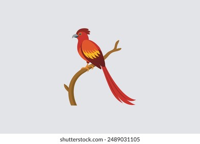 Beautiful Asian Sha Bulbul Bird perched on tree branch vector art, perfect for digital products and graphic design projects.