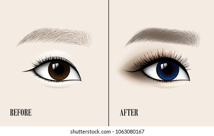 Beautiful Asian Woman Eye and Brow. Before and after make-up. Vector illustration