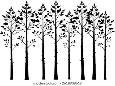 Beautiful Aspen Tree Set Isolated Silhouette Vector Illustration Natural Forest Elements Collection