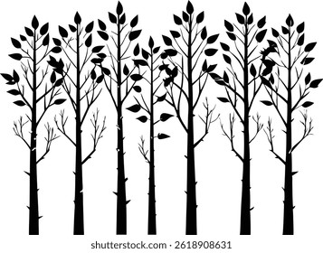 Beautiful Aspen Tree Set Isolated Silhouette Vector Illustration Natural Forest Elements Collection
