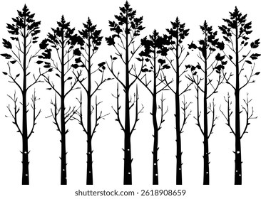 Hermoso árbol de Aspen conjunto de silueta aislada Ilustración vectorial de Elementos forestales naturales Colección
