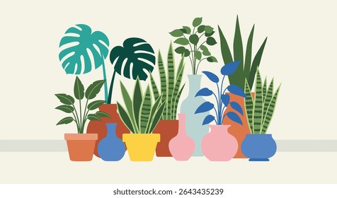 Bela variedade de plantas de casa em vaso interiores e folhagem em vários recipientes decorativos