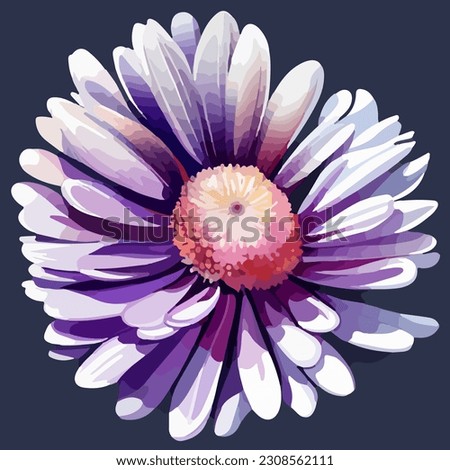Beautiful aster flower in bloom, watercolor dye painting, vector EPS 10 illustration