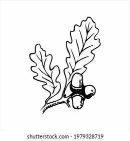 vector vegetal hermoso y atractivo 