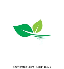 beautiful and attractive random leaf shape