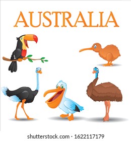 Beautiful Australia birds drawing, birds set, beautiful birds, vector drawing.