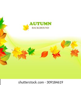 Beautiful autumn backdrop with color maple leaves. Place for text. Vector illustration