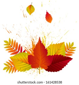 Beautiful Autumn Background