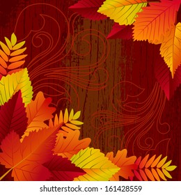 Beautiful Autumn Background