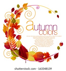 Beautiful Autumn Background