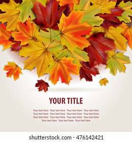 Beautiful autumn background with colorful maple leaves and place for text, vector illustration