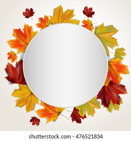 Beautiful autumn background with colorful maple leaves and place for text, vector illustration