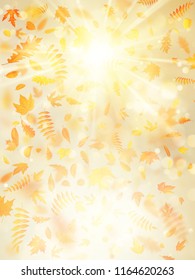 Beautiful autumn background with maple autumn leaves and delicate sun. EPS 10